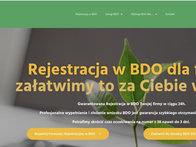 Jakie dane są potrzebne do rejestracji BDO – lista 2024